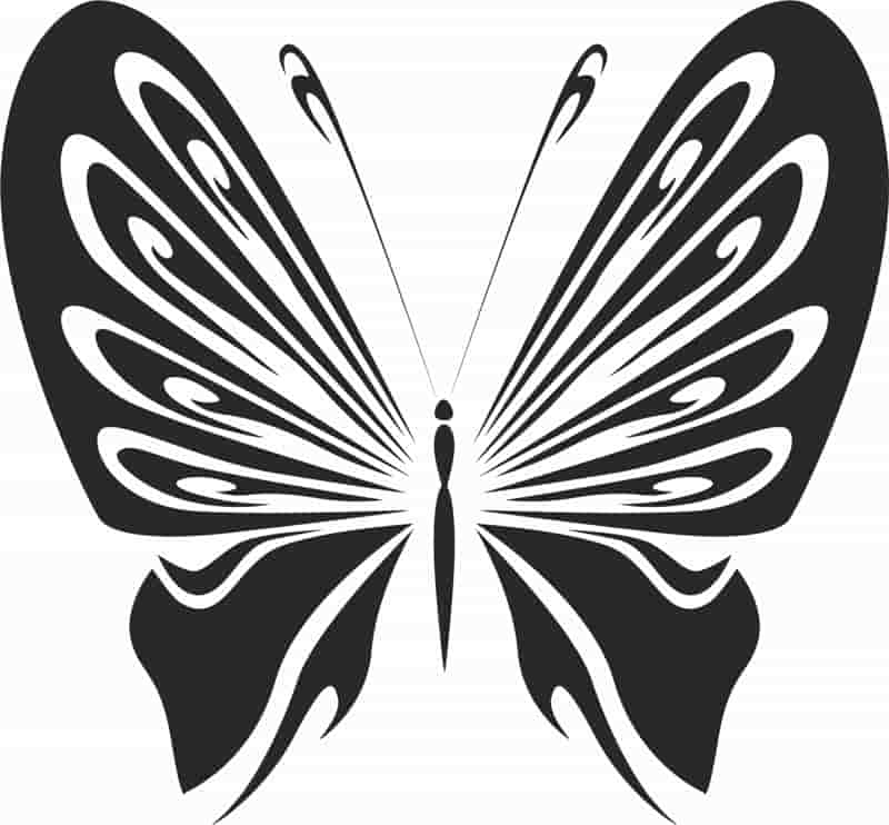 Vintage Butterfly Wall Sticker Stencil Free Vector Free Vectors