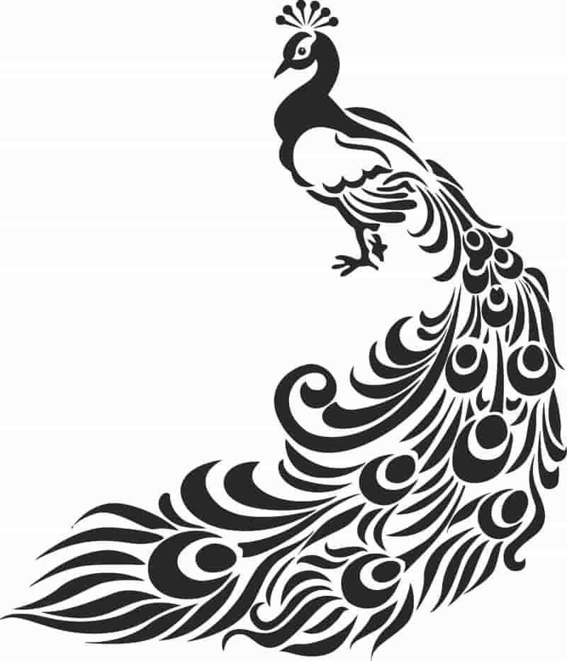 Peacock Wall Decor Stencil Free Vector Free Vectors