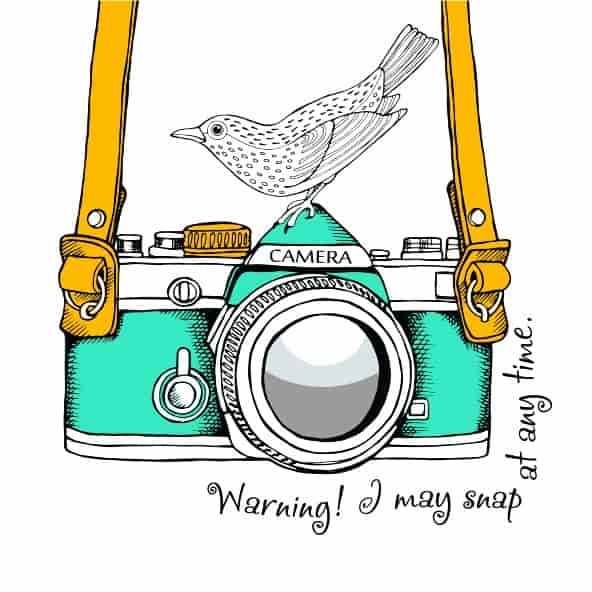 Camera Bird Art Vector Free Vector Free Vectors