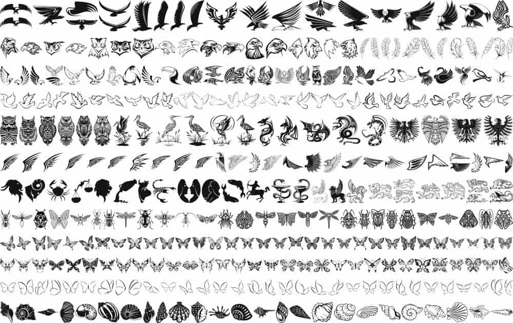 Bird Drawing Vector Set Free Vector Free Vectors