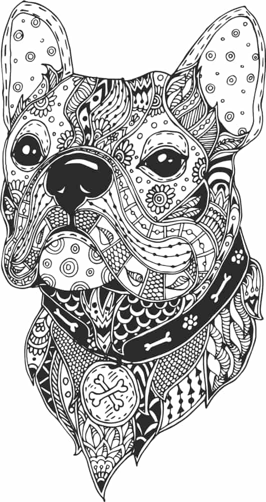 Dog Head Line Drawing Vector Free Vector Free Vectors