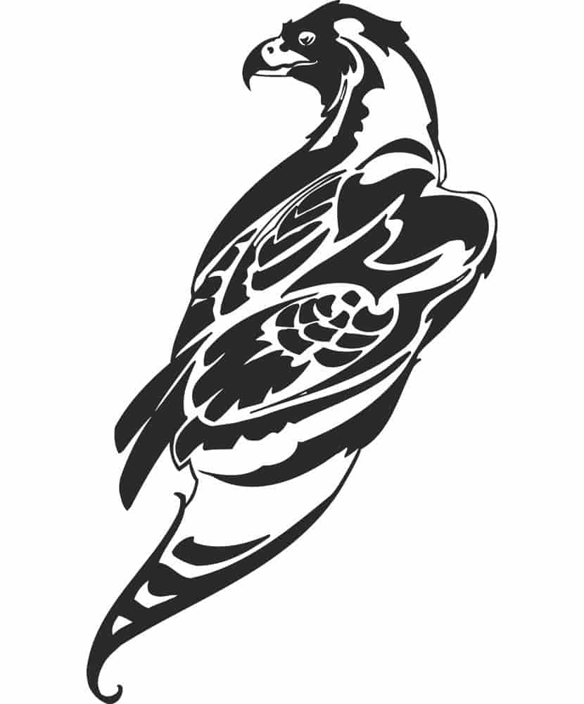 Hawk Art Free Vector Free Vectors