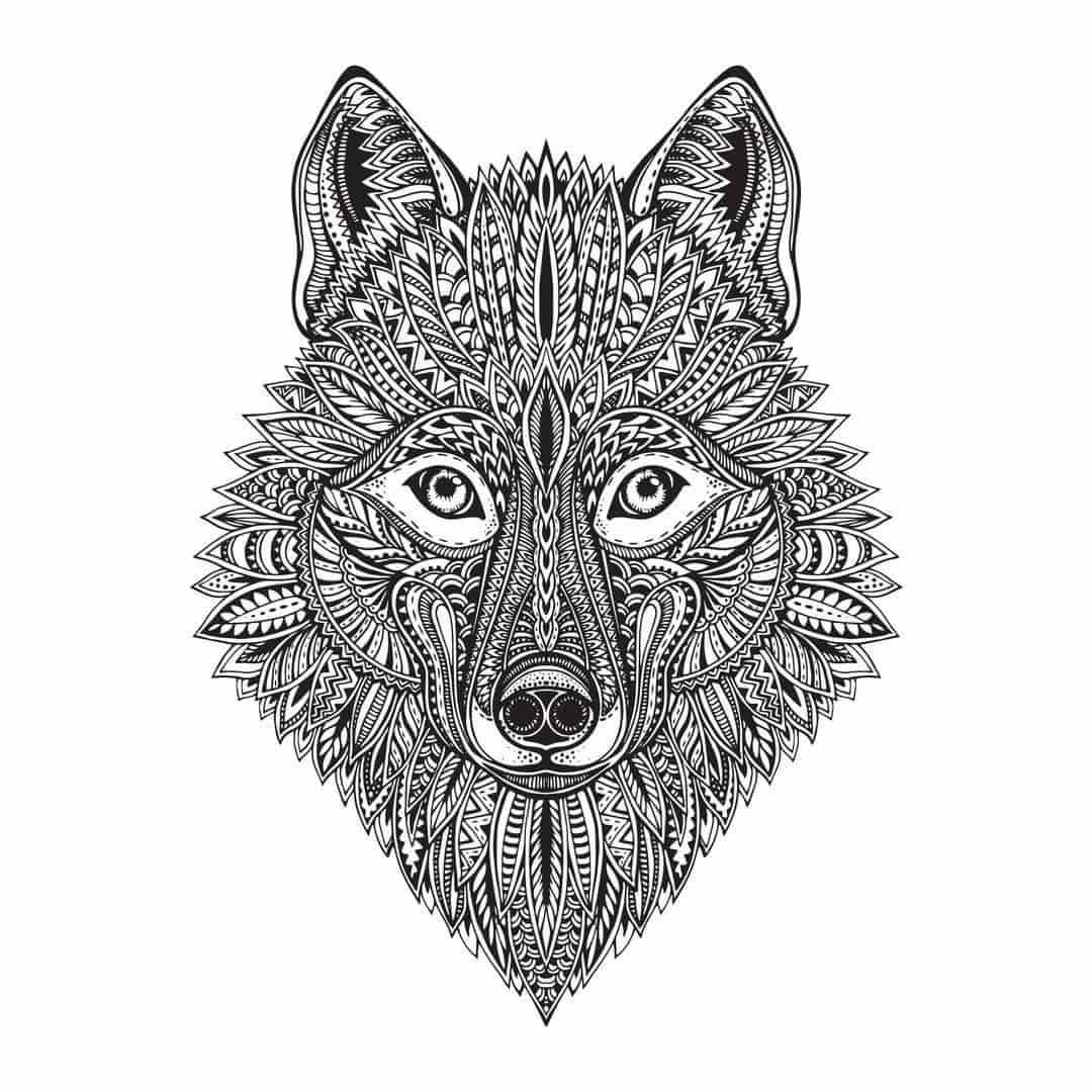 Wolf Face Art Free Vector Free Vectors