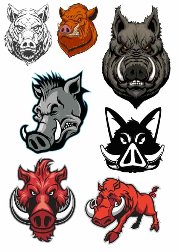 Boar Set Free Vector Free Vectors