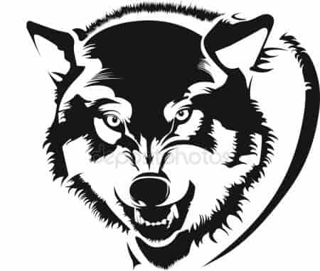 Mens wolf shirt Free Vector Free Vectors