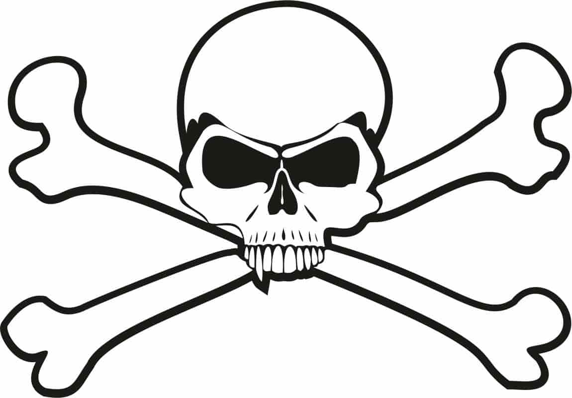 Skull n Bones Free Vector Free Vectors