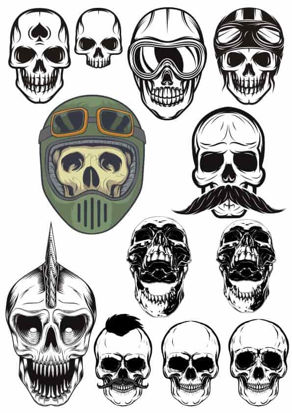Viking Skull Vector Free Free Vectors