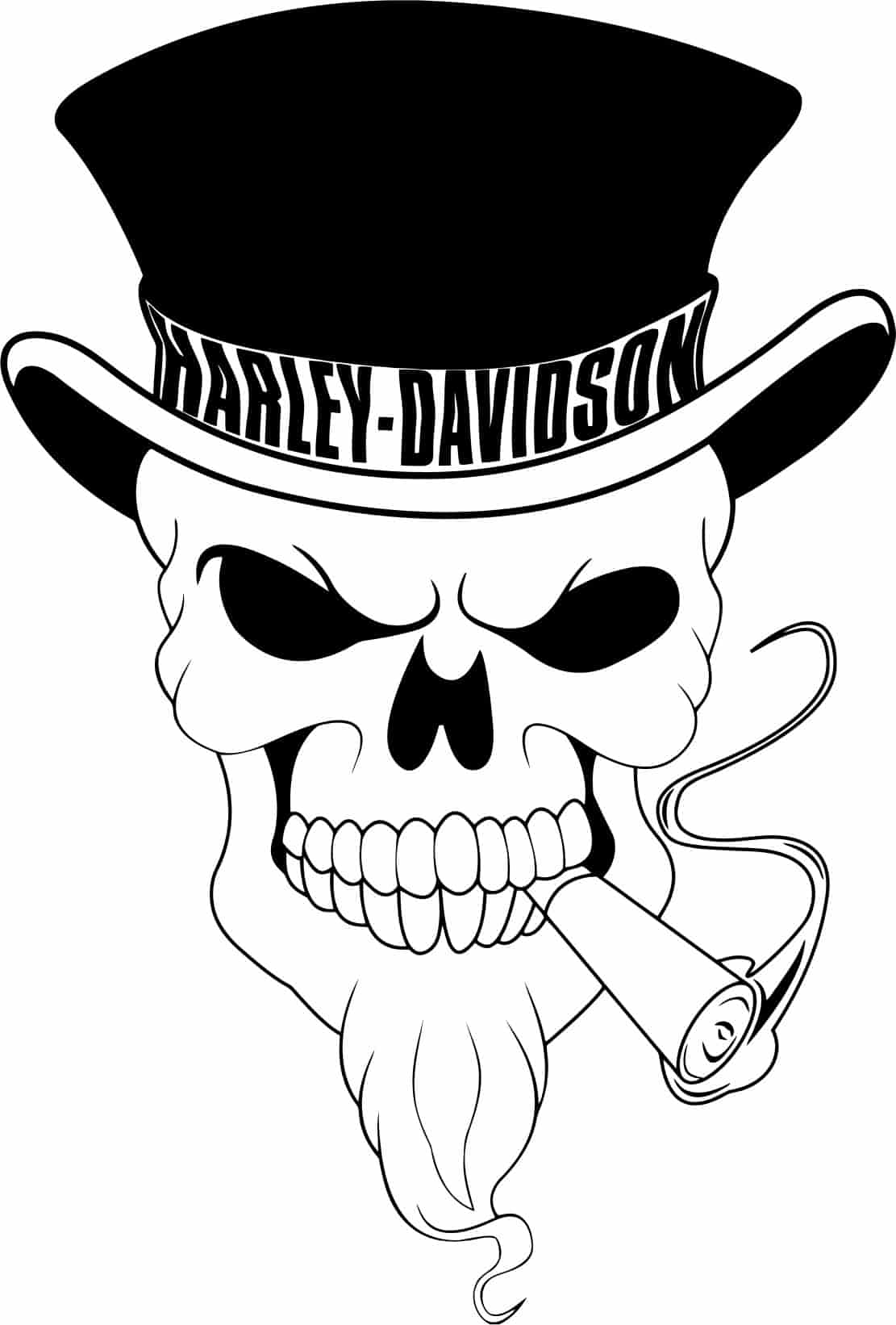 Harley Davidson Hat on Skull Free Vector Free Vectors
