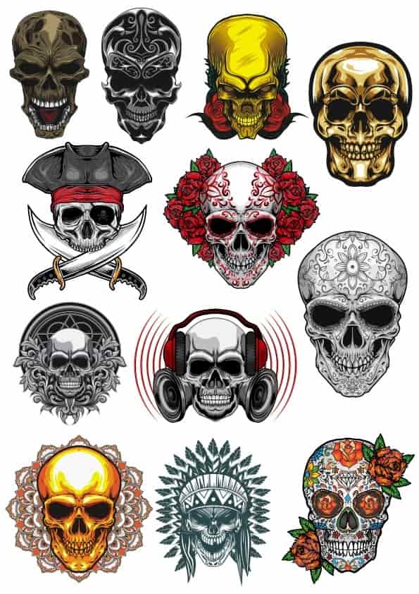 Skull Vector Set Free Free Vectors