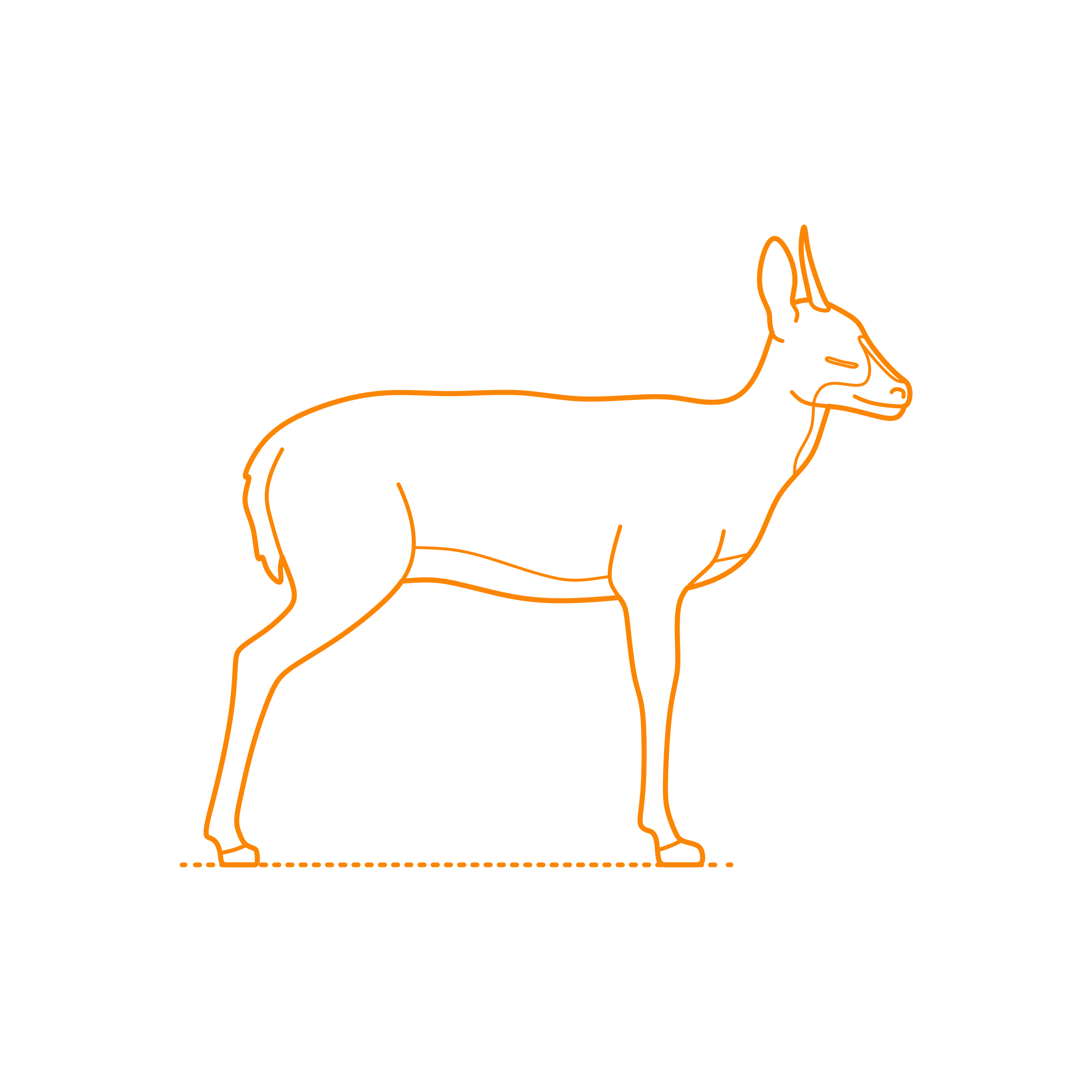 Animals Antelopes Common Duikerline Tracing Svg Vector Free Vectors