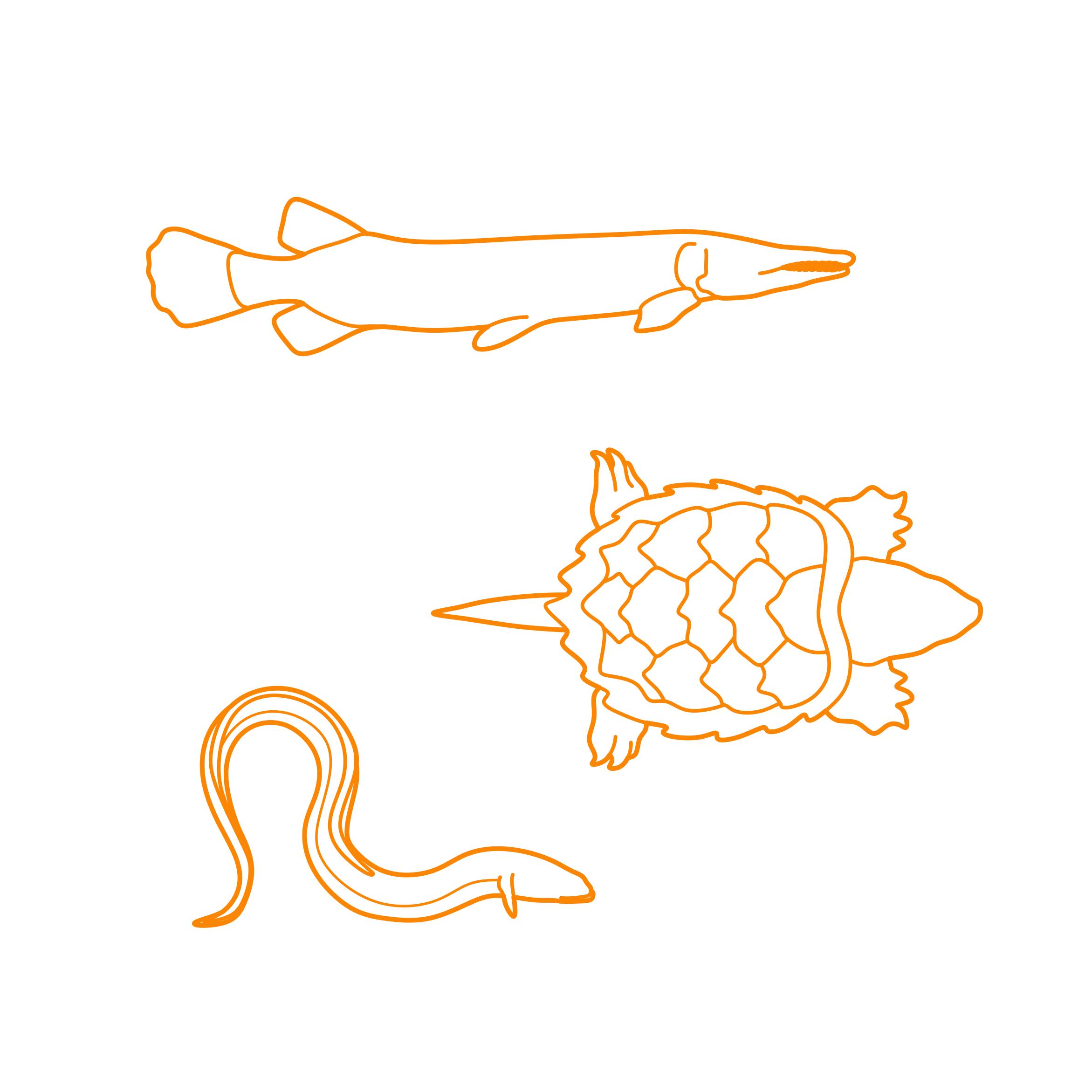 Animals Freshwater Animals Outline Svg Vector Free Vectors
