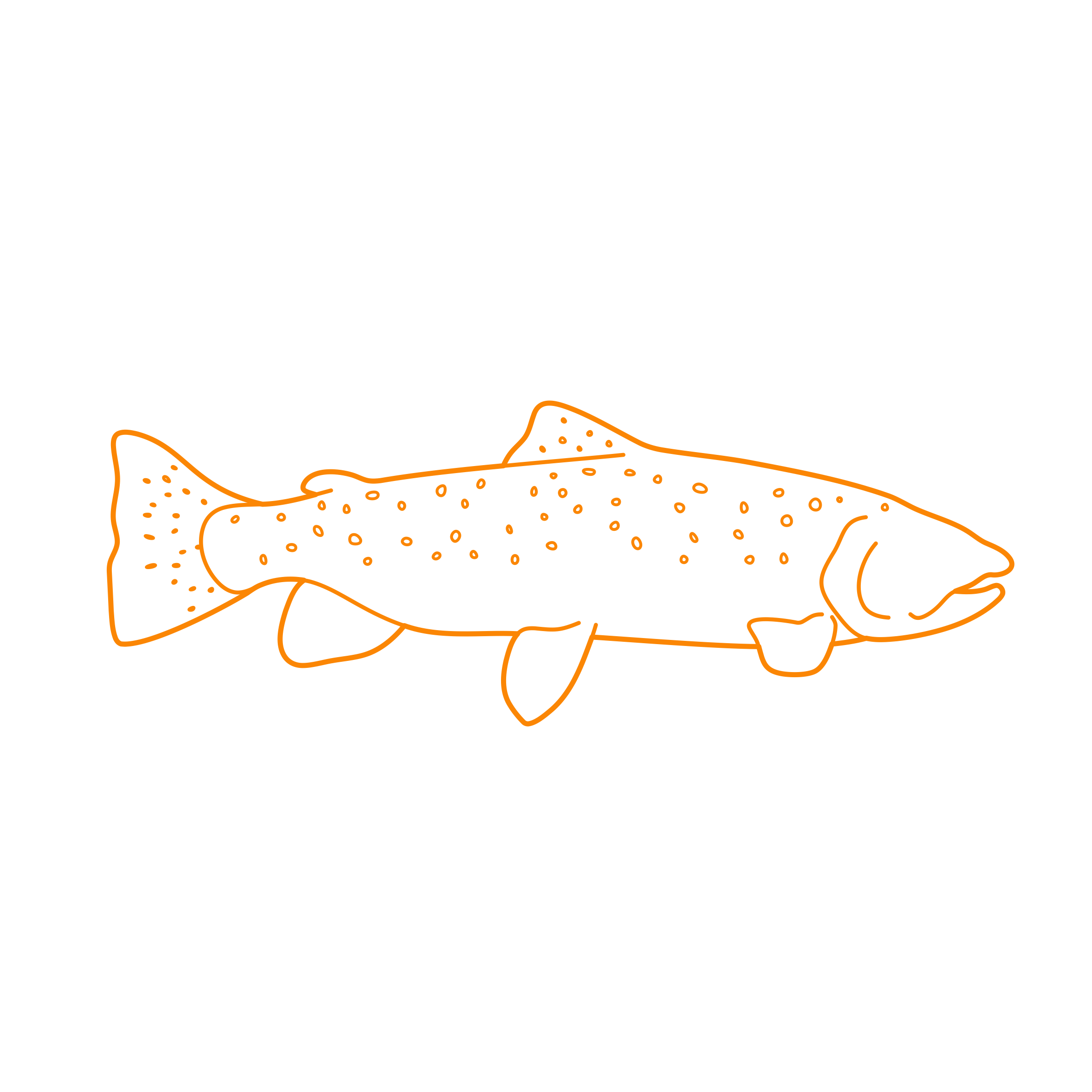 Animals Freshwater Fish Apache Trout Line Art Svg Vector Free Vectors