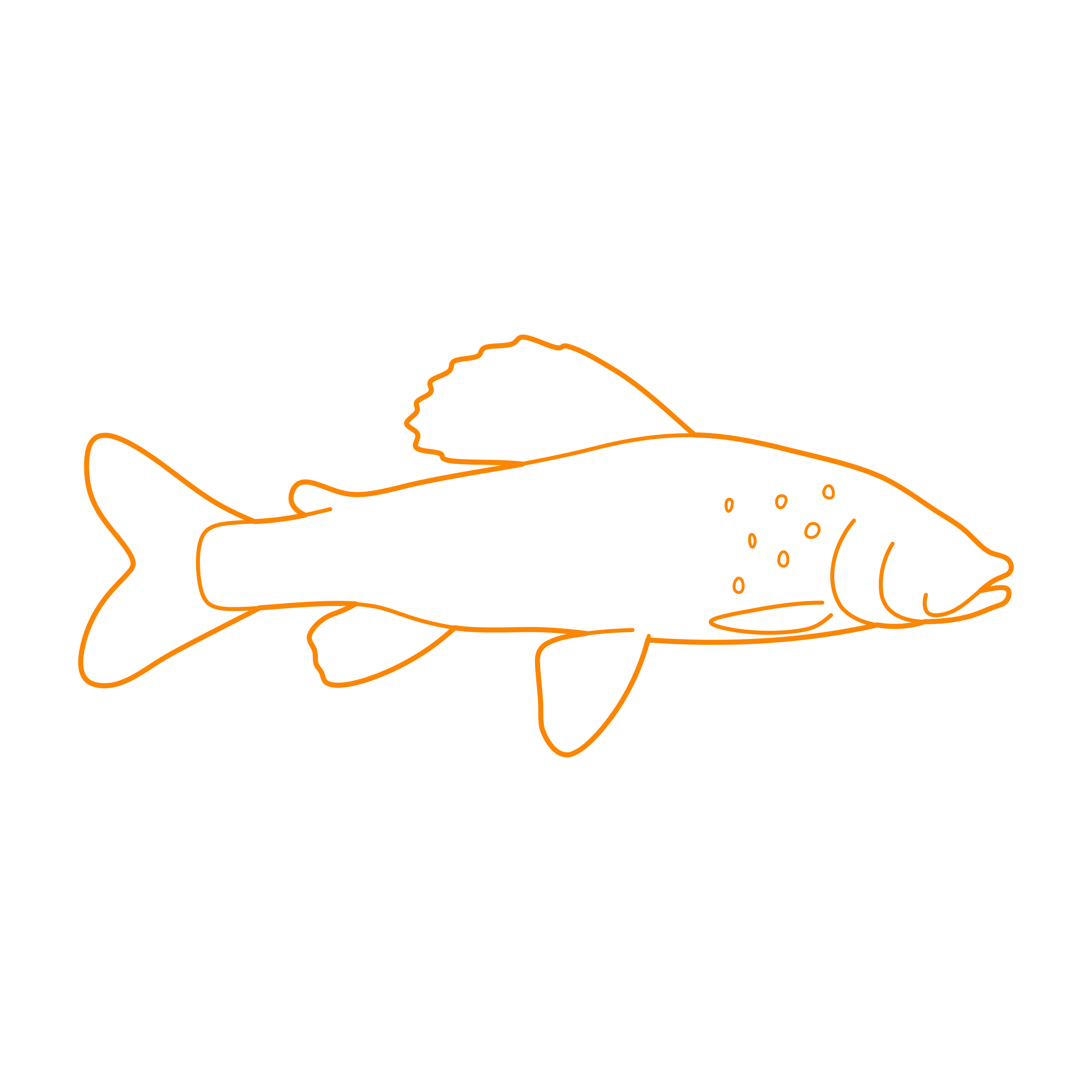 Animals Freshwater Fish Arctic Grayling Line Art Svg Vector Free Vectors