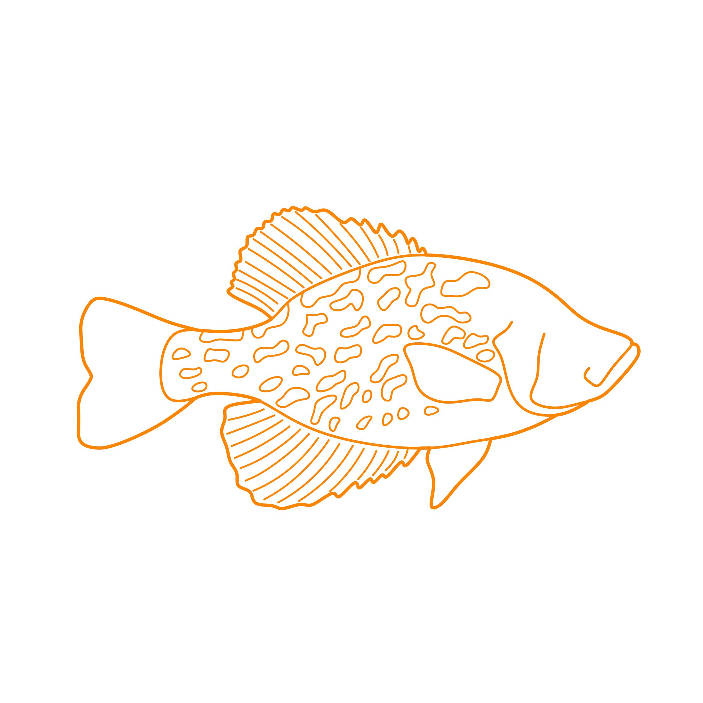 Animals Freshwater Fish Black Crappie Outline Svg Vector Free Vectors