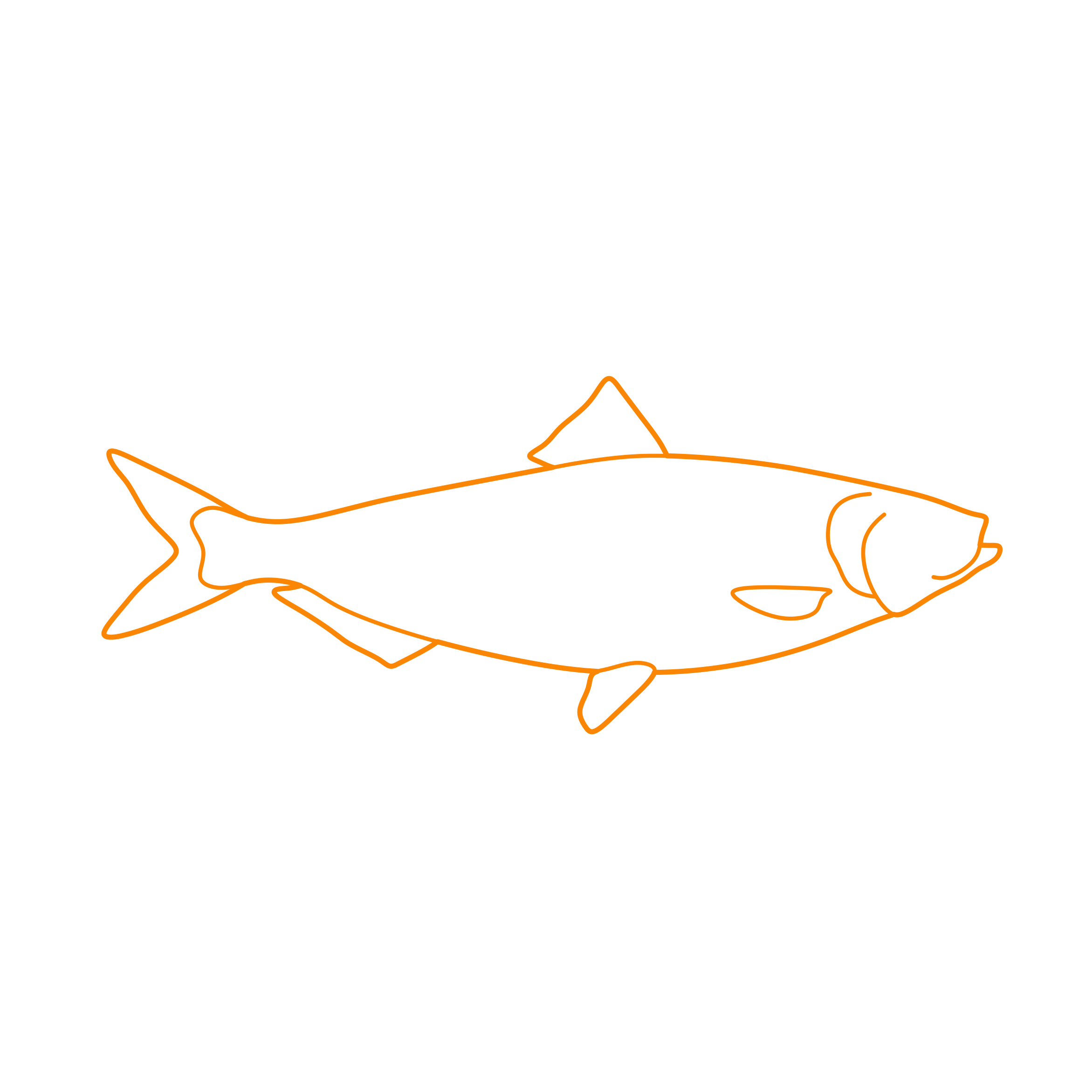 Animals Freshwater Fish Blueback Herring Outline Svg Vector Free Vectors