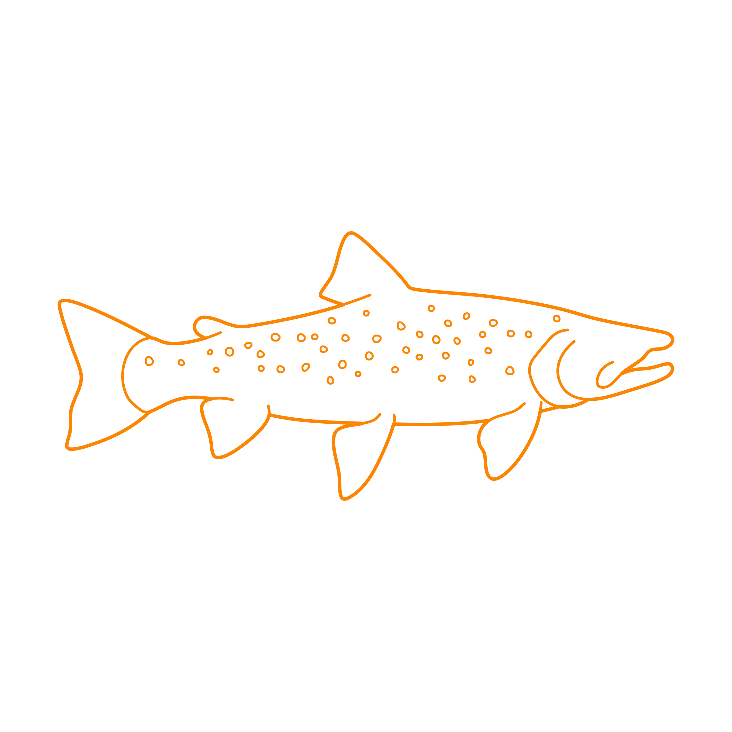Animals Freshwater Fish Bull Trout Drawing Svg Vector Free Vectors