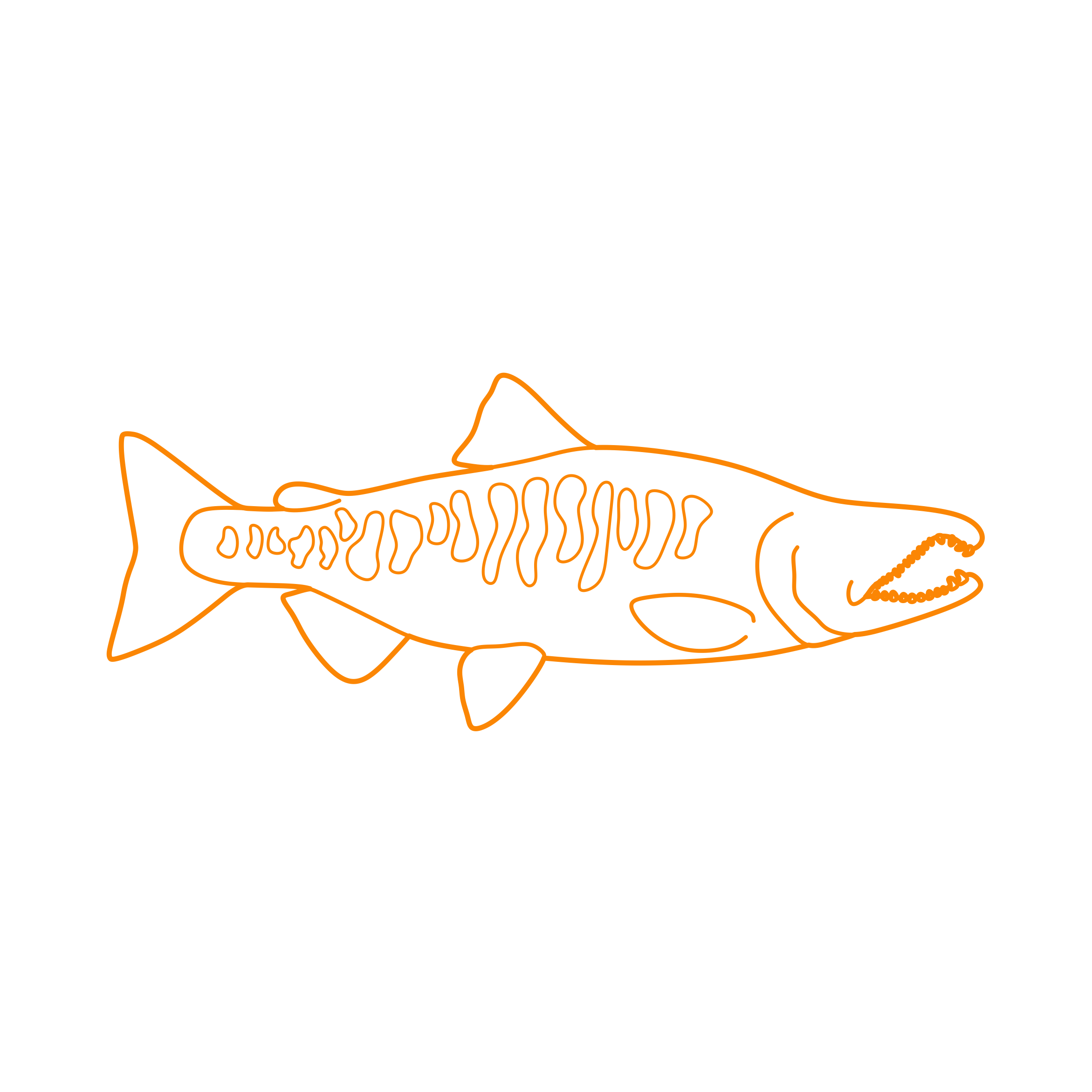 Animals Freshwater Fish Chum Salmon Line Tracing Svg Vector Free Vectors