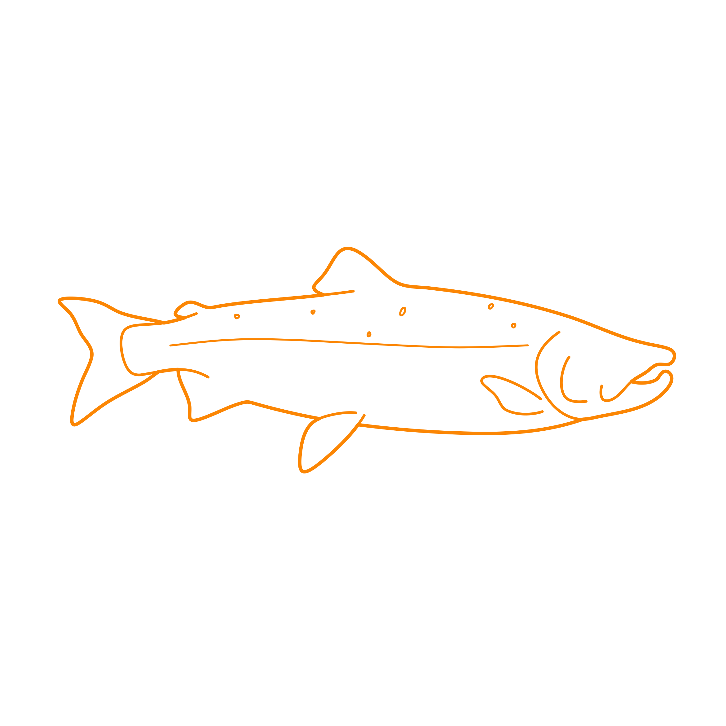 Animals Freshwater Fish Coho Salmon Drawing Svg Vector Free Vectors