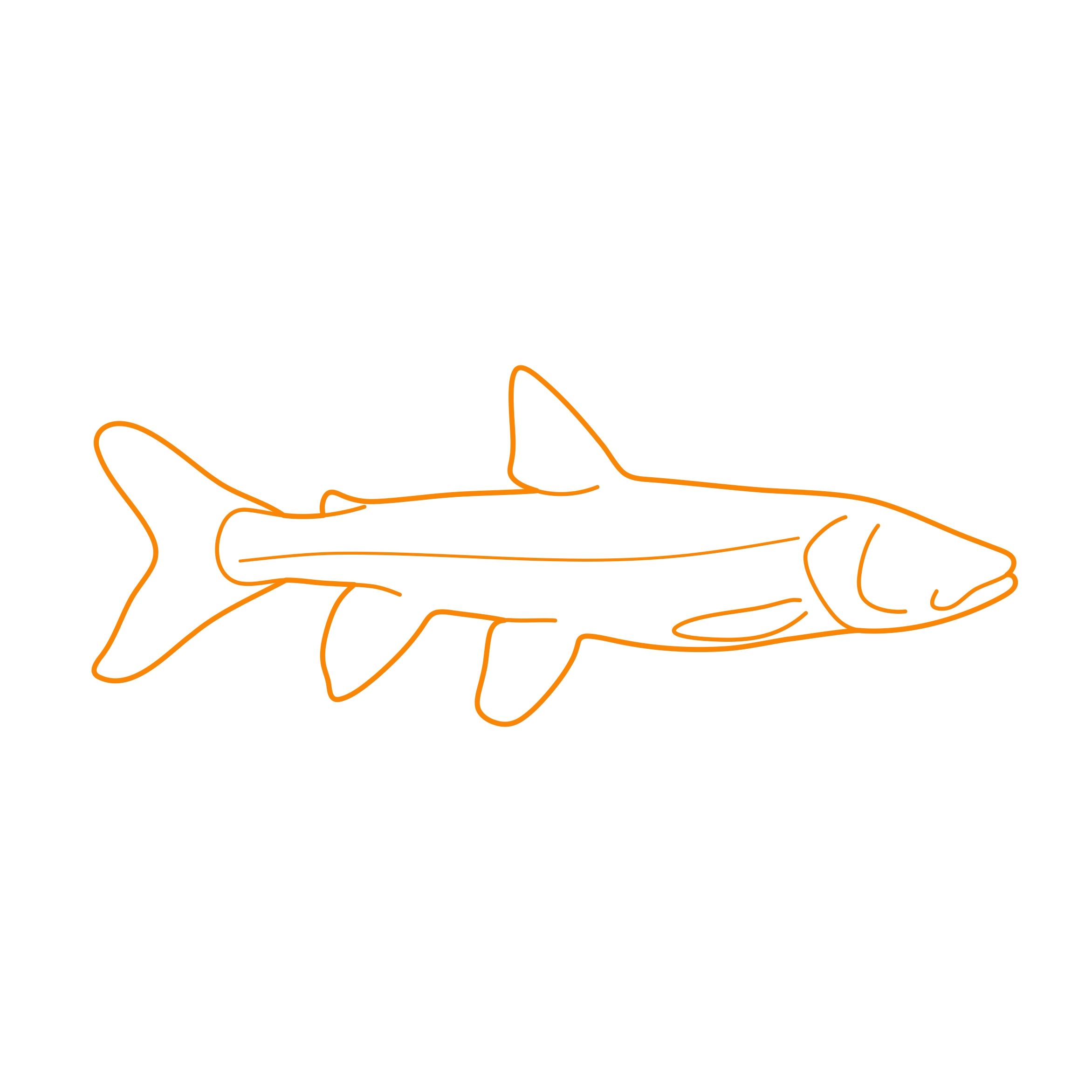 Animals Freshwater Fish Colorado Pikeminnow Line Tracing Svg Vector Free Vectors