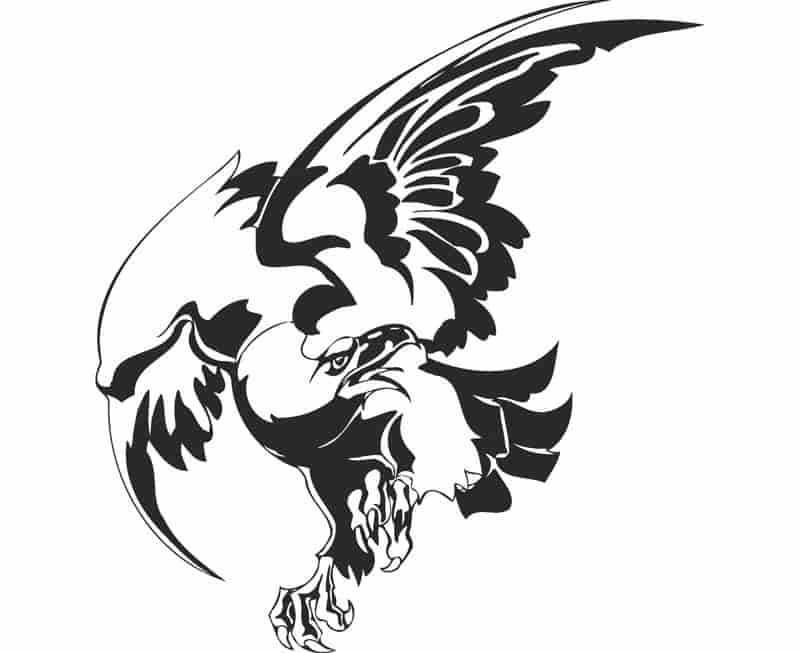 Bird Hawk Vulture Eagle Wall Sticker Free Vector Free Vectors