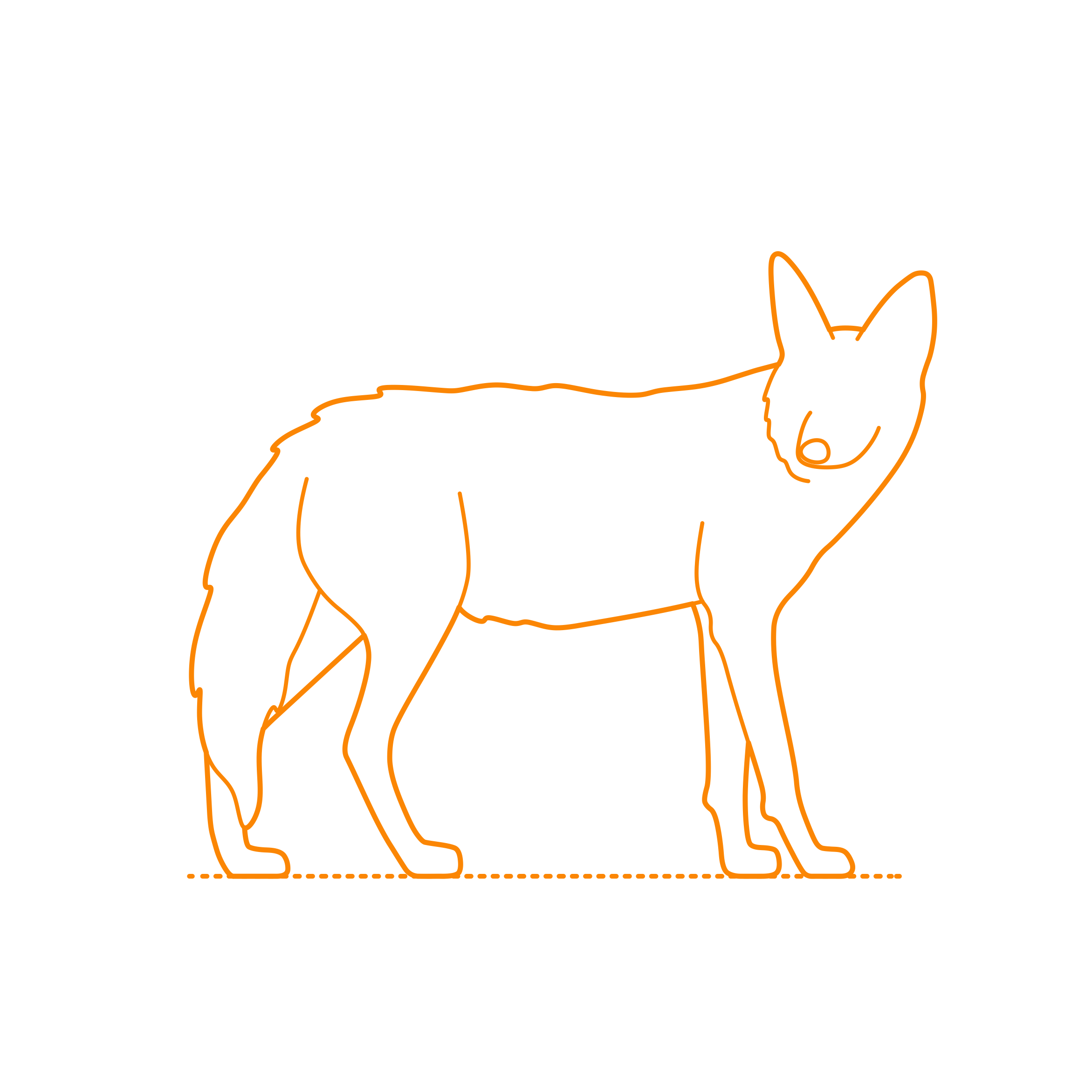 Animals Canini Golden Jackal Stencil SVG Vector Free Vectors