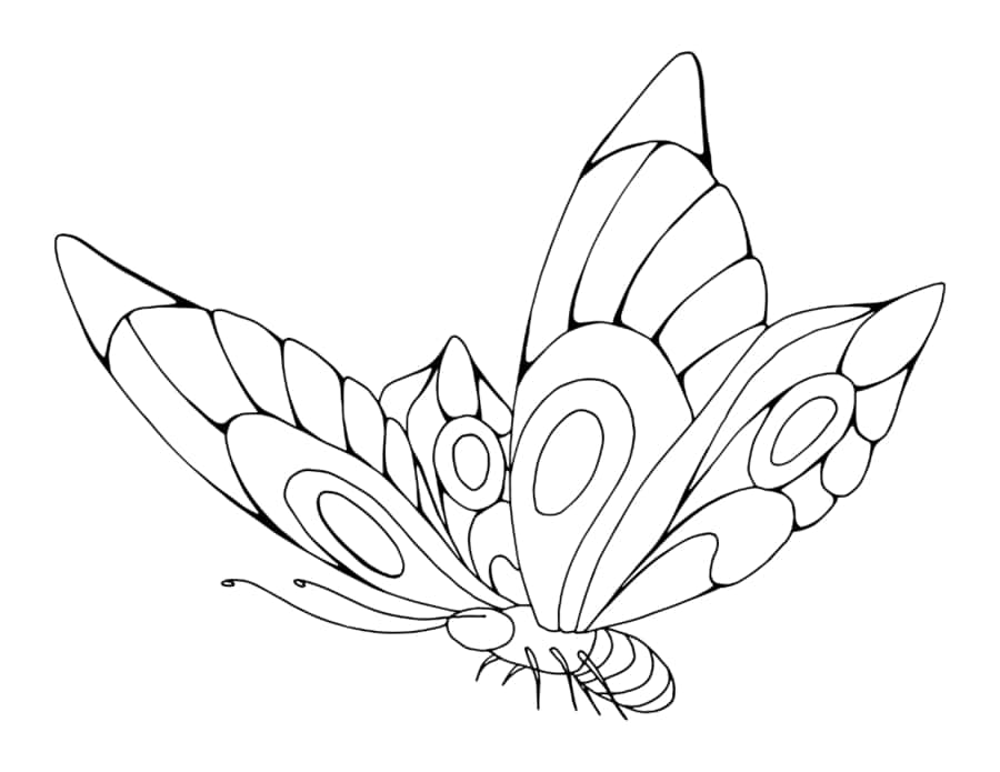 Butterfly Beautiful Patterned Wings Tracing Shape PDF Free Vectors