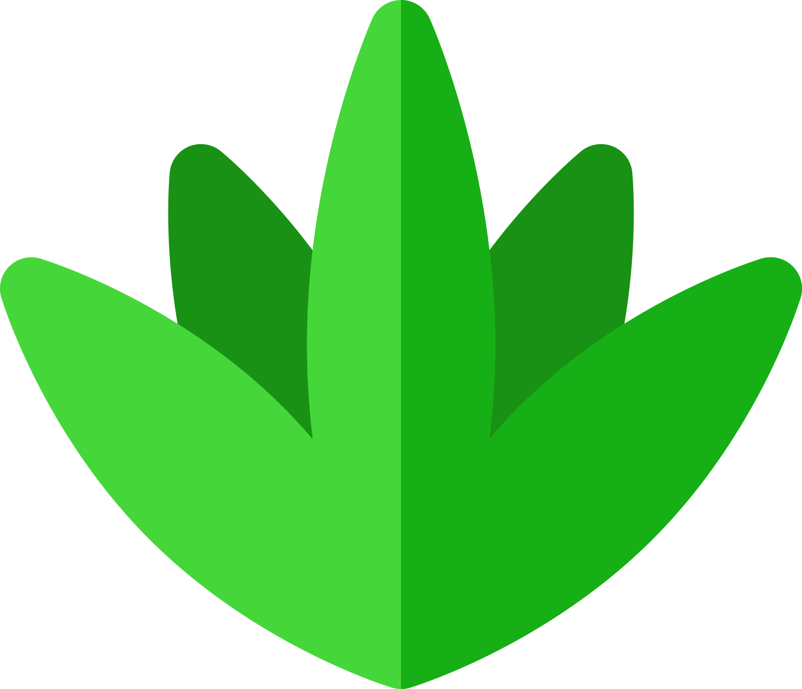 Agave Silhouette Cutting Svg Files Free Vectors