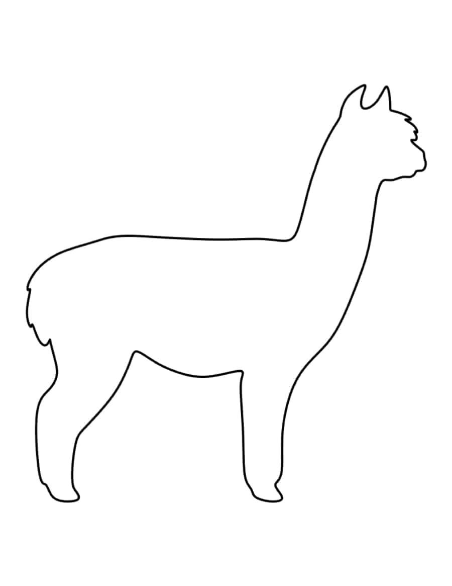 Alpaca Tracing Worksheets Pdf Free Vectors