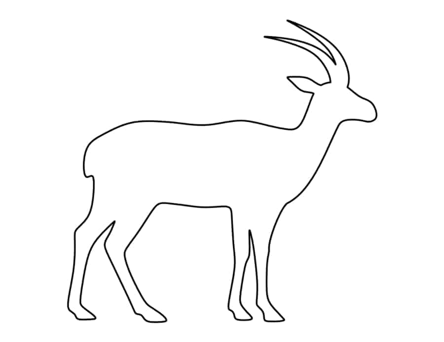 Antelope Coloring Pages Pdf Free Vectors