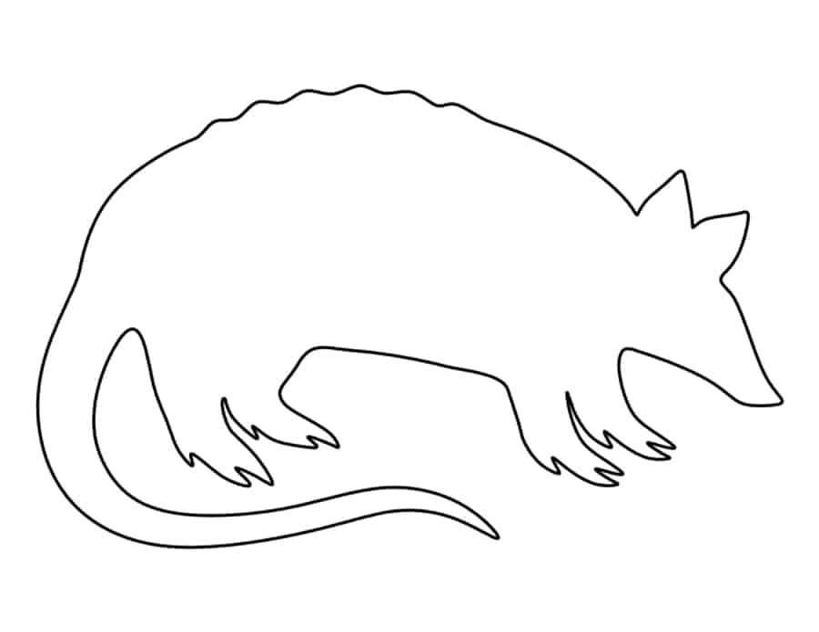 Armadillo Coloring Pages Pdf Free Vectors