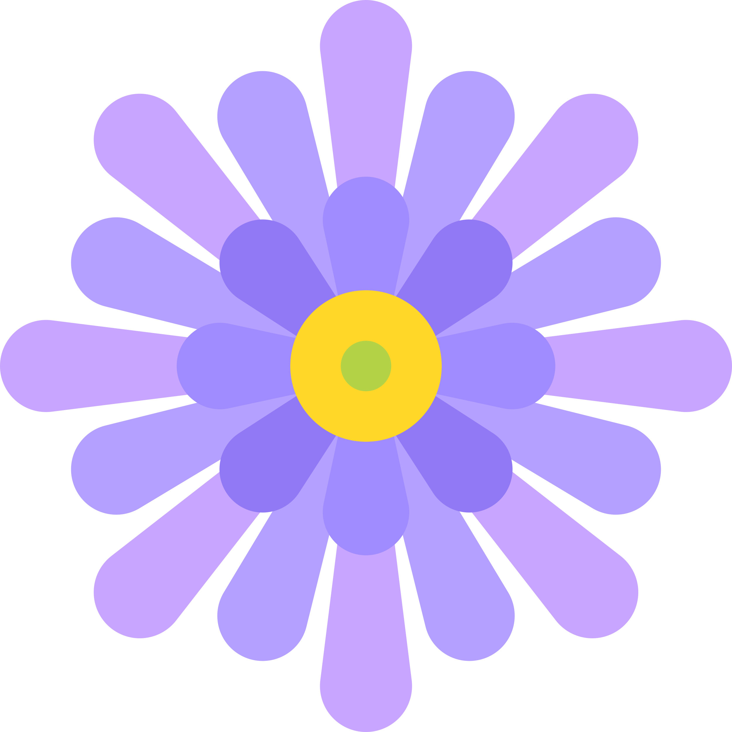 Aster Laser Cut Svg File Free Vectors