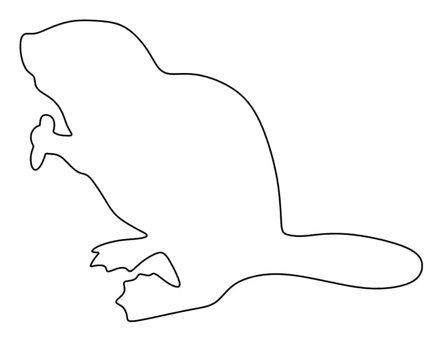 Beaver Coloring Pages Pdf Free Vectors