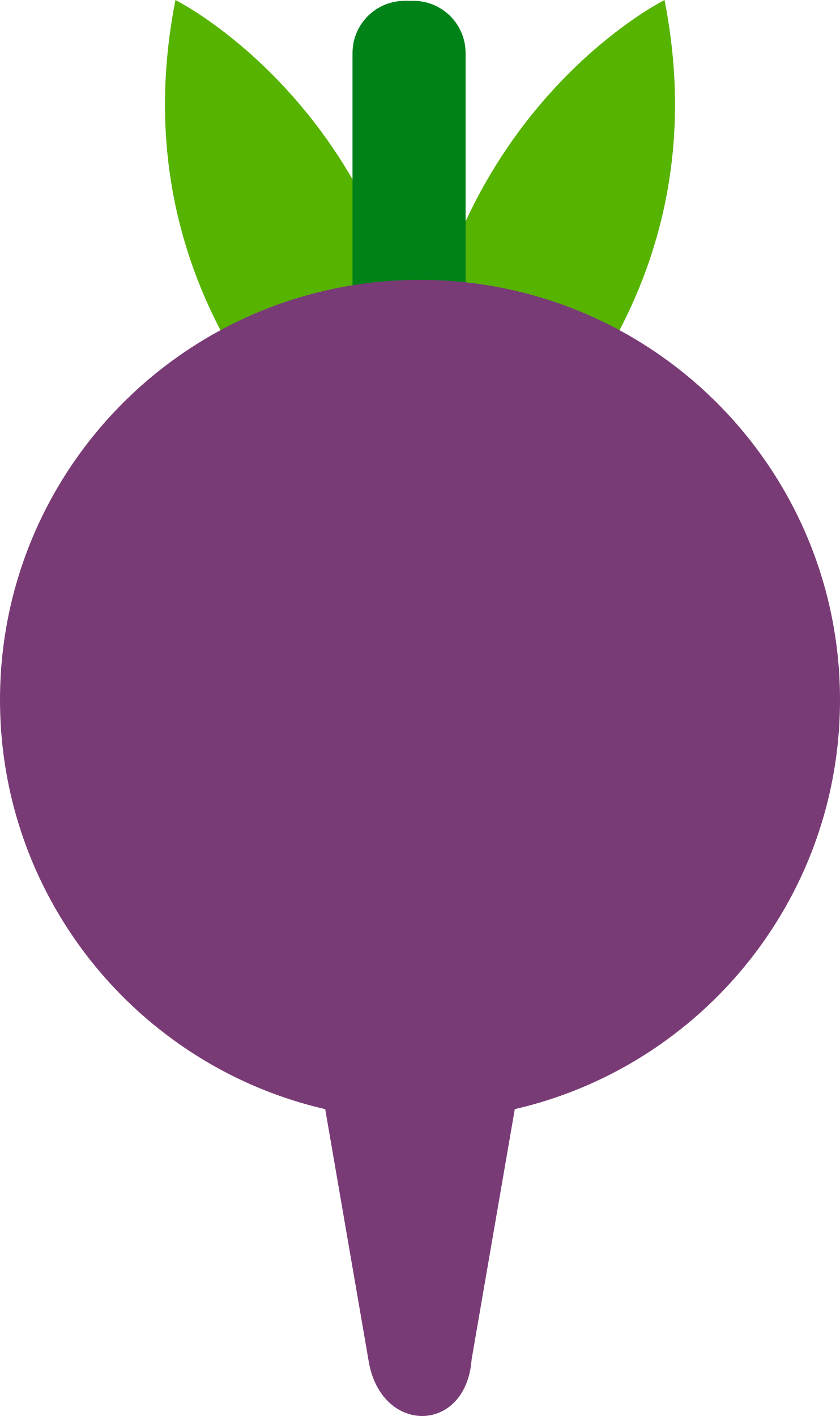 Beetroot Outline Svg File Free Vectors