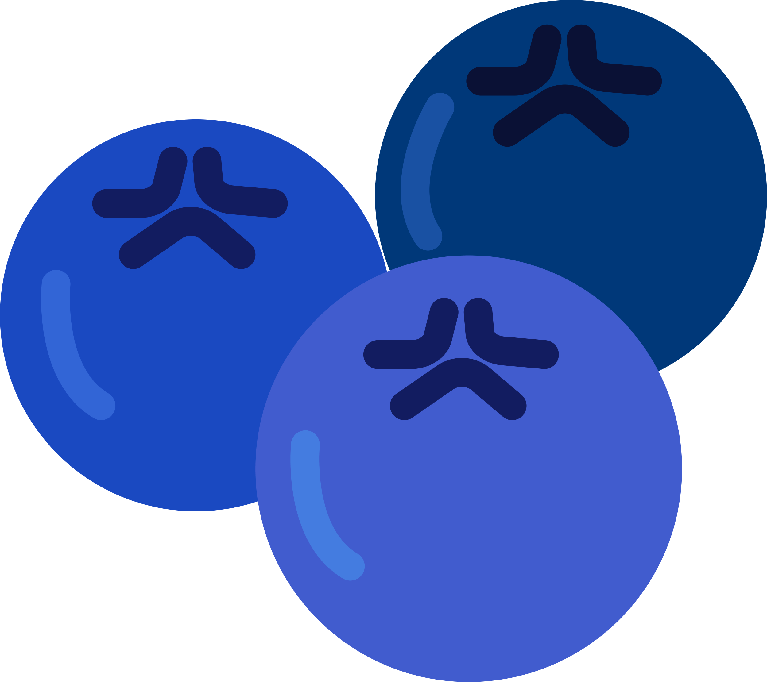 Blueberries Engraving Svg Design Free Vectors