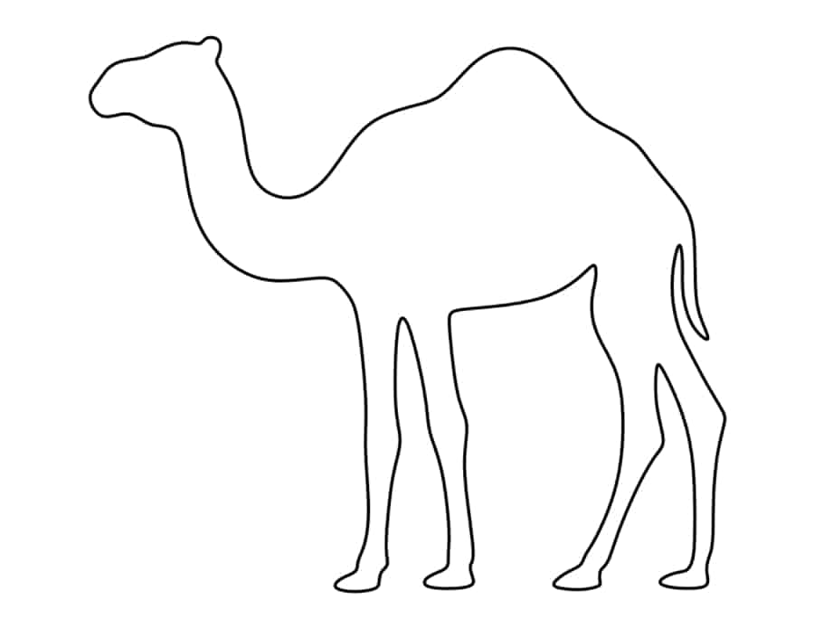 Camel Coloring Pdf Free Vectors