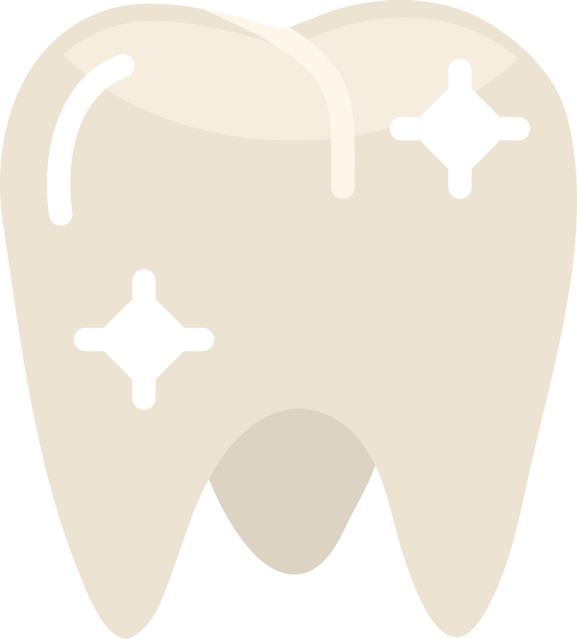 Canada Contour Svg Vector Free Vectors