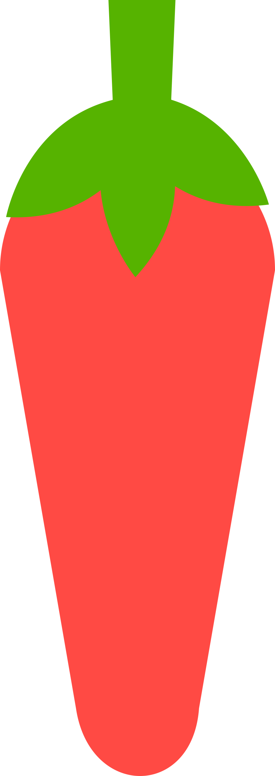 Chili Contour Svg Vector Free Vectors