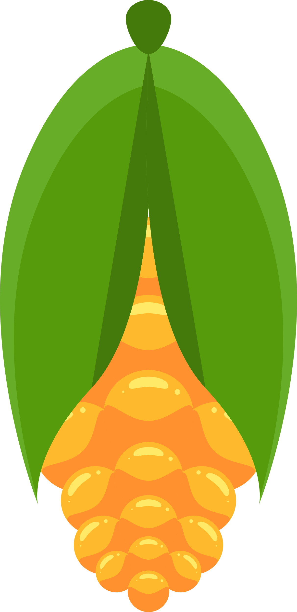 Corn Craft Design Svg File Free Vectors