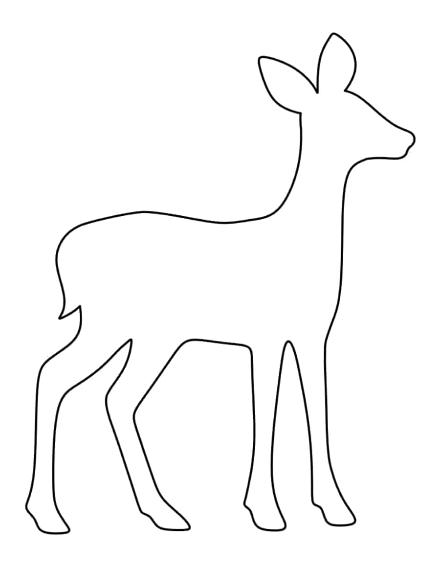 Fawn Coloring Pdf Free Vectors