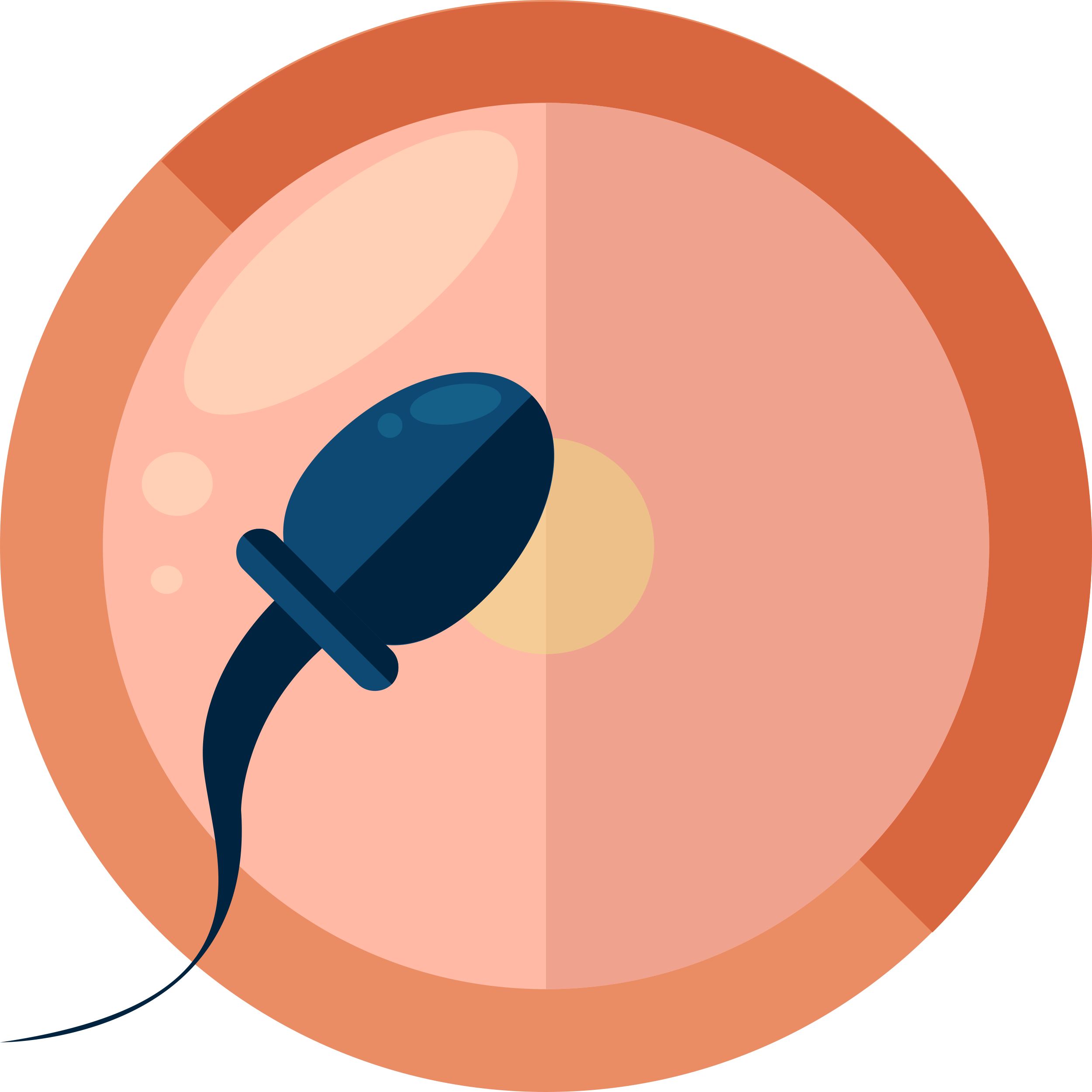 Fertilization Sketch Style Svg Vector Free Vectors