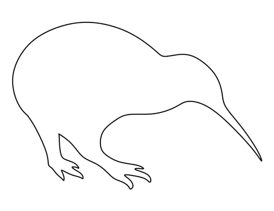 Kiwi Tracing Worksheets Pdf Free Vectors