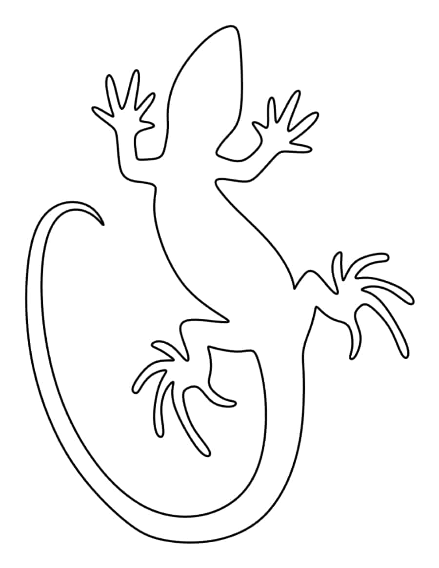 Lizard Coloring Pages Pdf Free Vectors