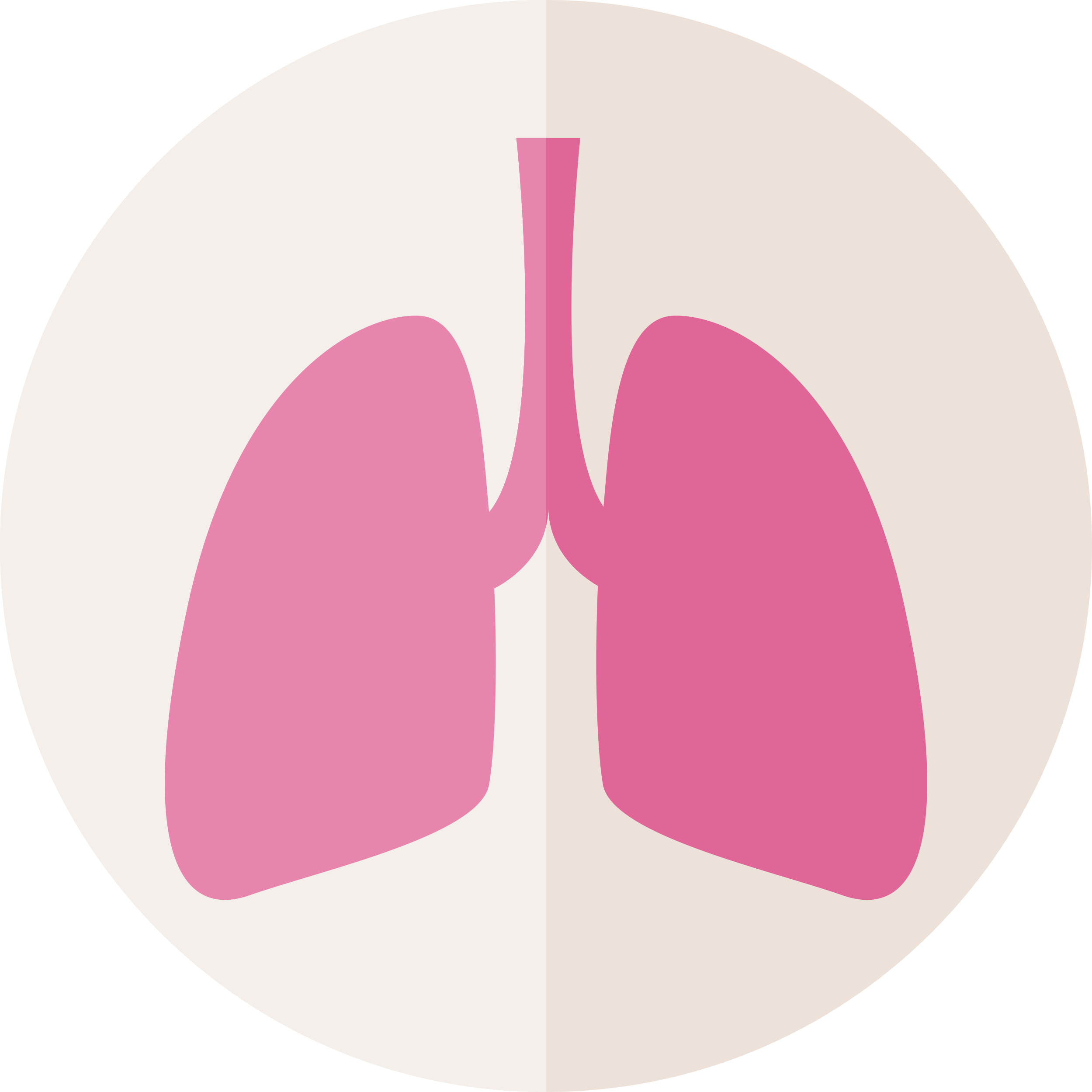Lung Outline Svg Vector Free Vectors