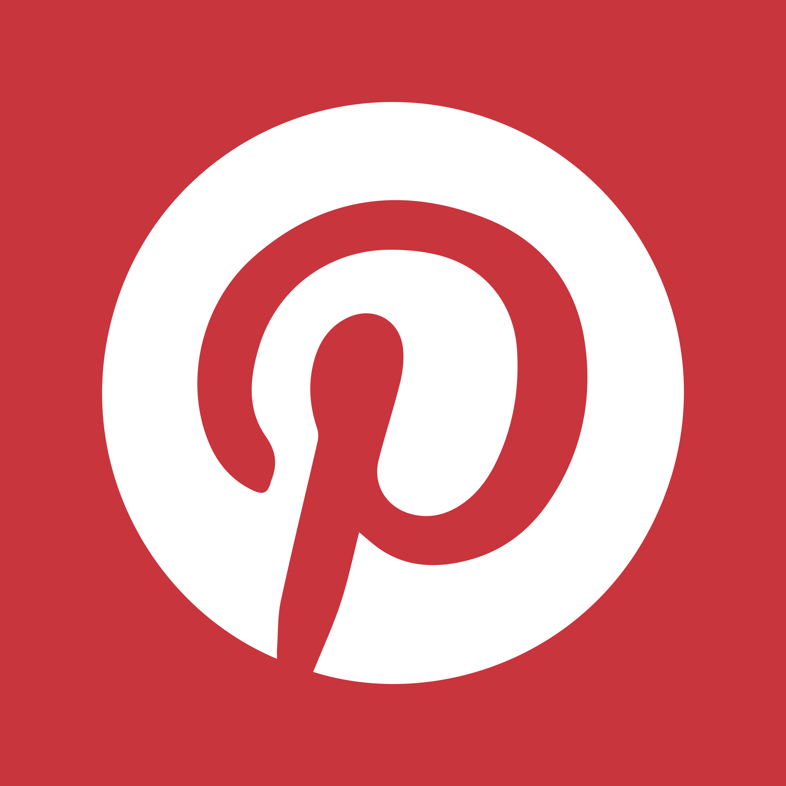 Pinterest Icon Svg Vector Free Vectors