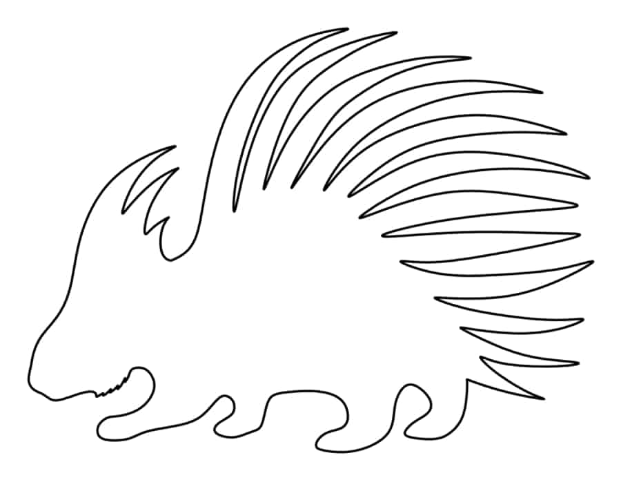 Porcupine Tracing Worksheets Pdf Free Vectors