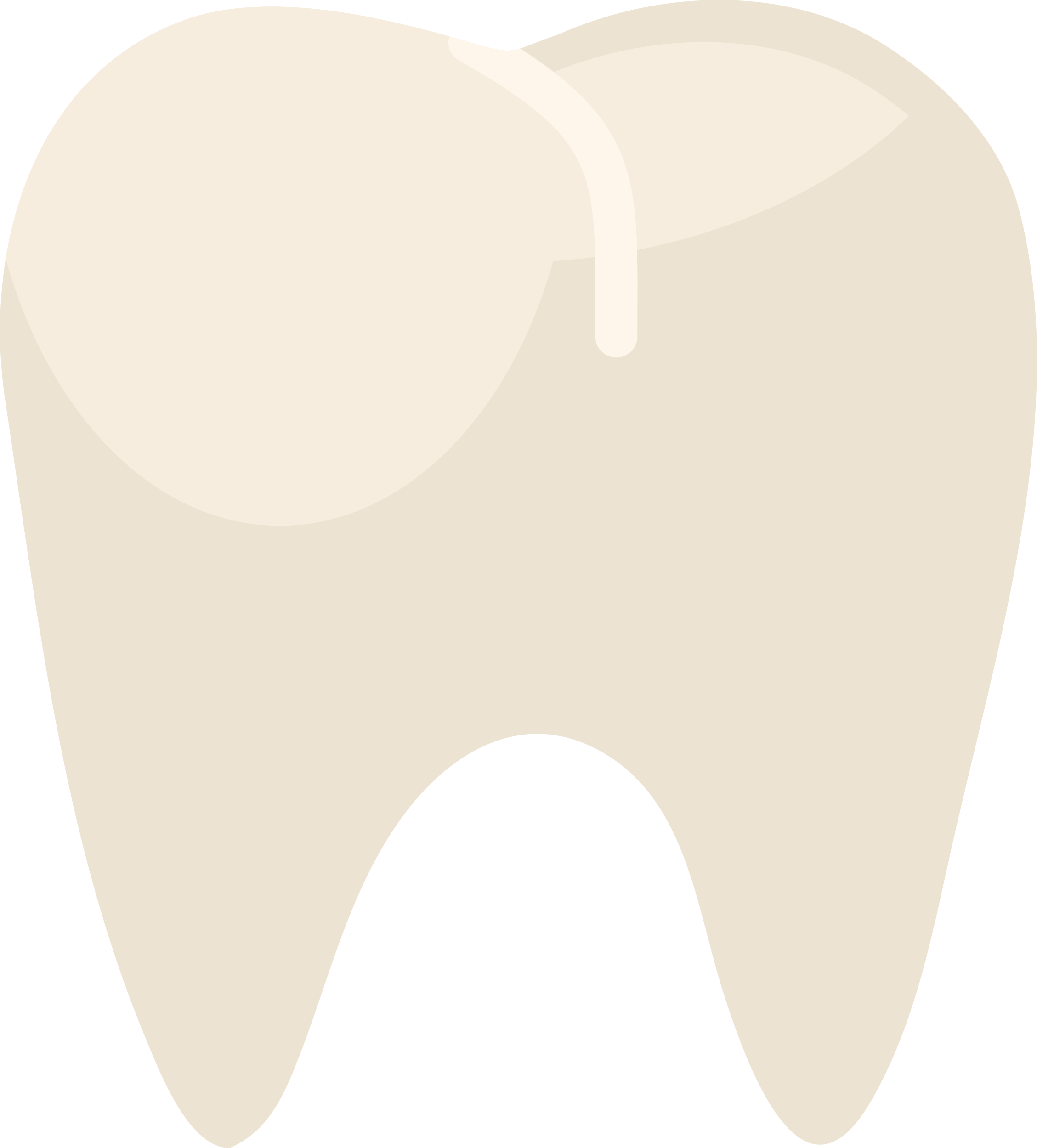 Premolar Simple Line Art Svg Free Vectors
