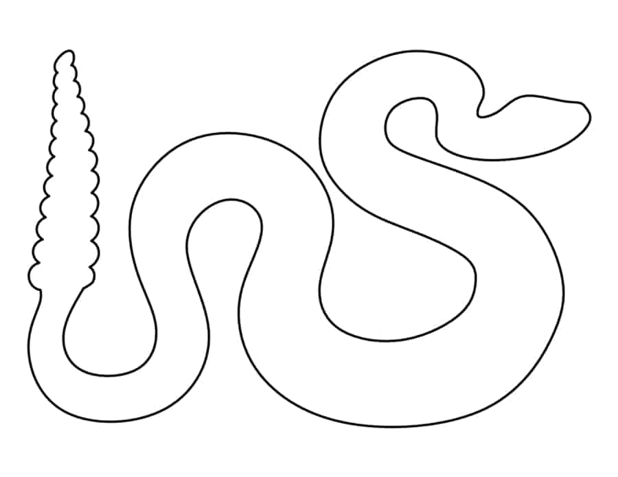 Rattlesnake Coloring Pages Pdf Free Vectors