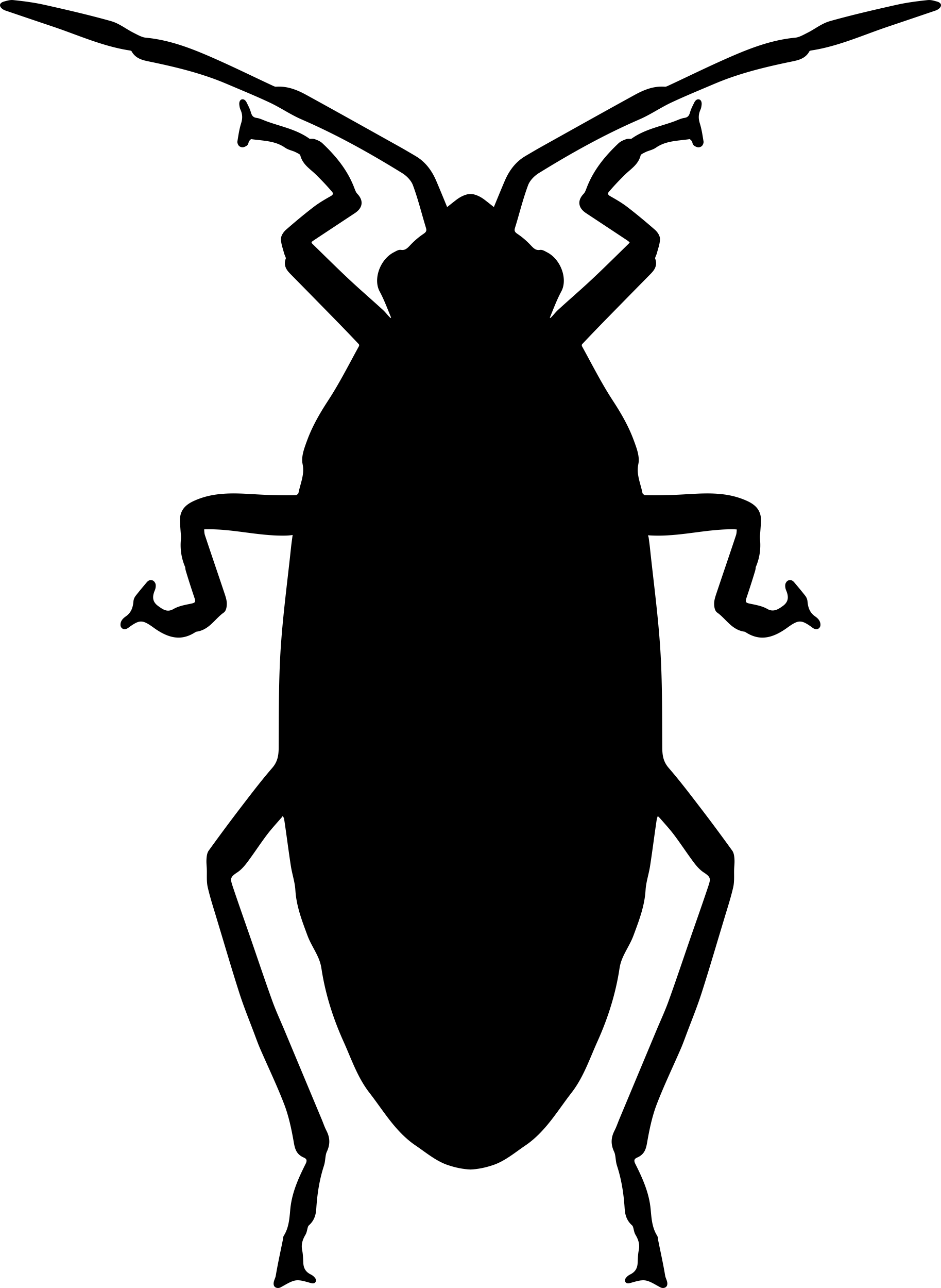 Roach Sketch Drawing Svg Free Vectors