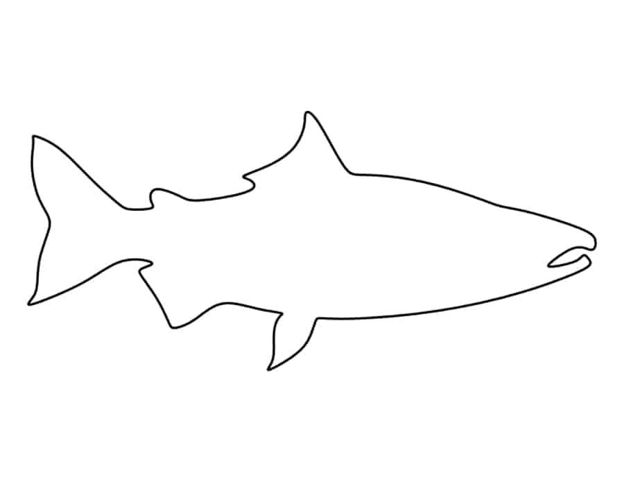 Salmon Tracing Worksheets Pdf Free Vectors