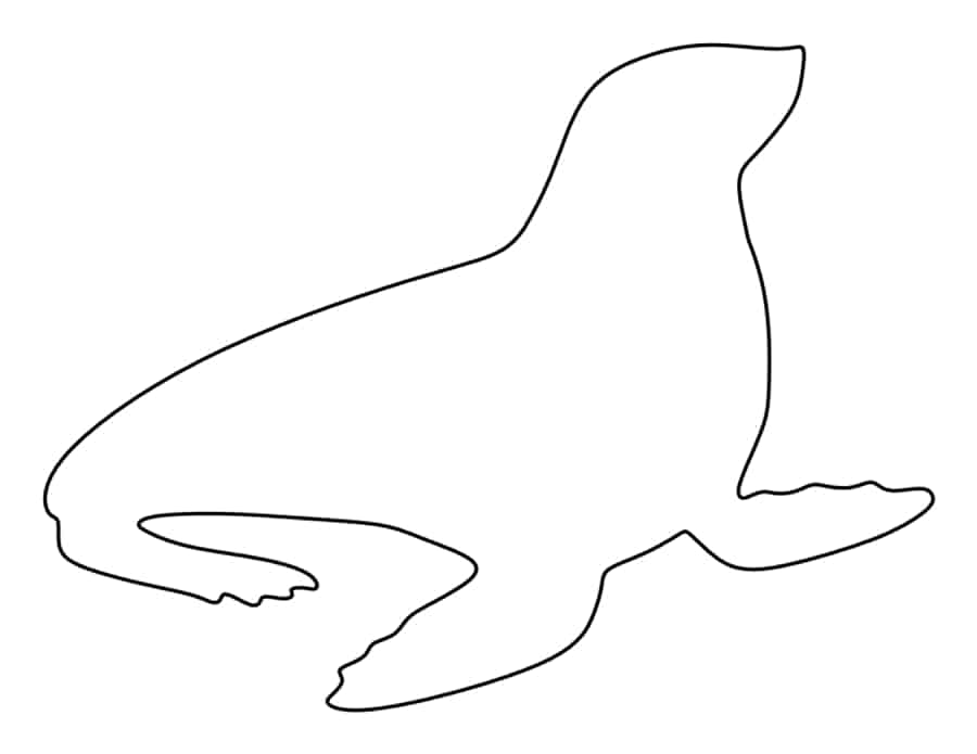 Seal Tracing Worksheets Pdf Free Vectors
